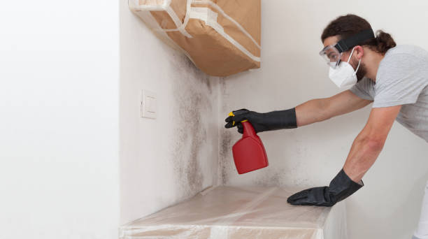 Professional Mold Removal technician working in Atlanta, IL